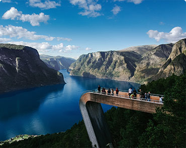 Personalized report and natural medicine